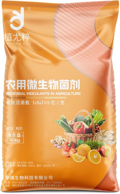 香港天和宝典资料大全