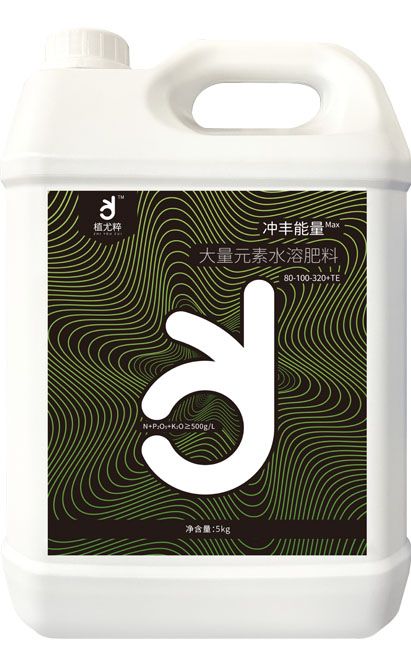 香港天和宝典资料大全