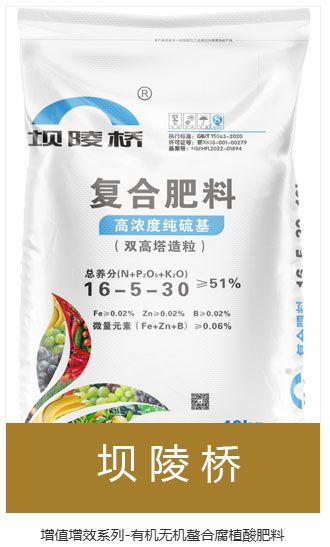 香港天和宝典资料大全