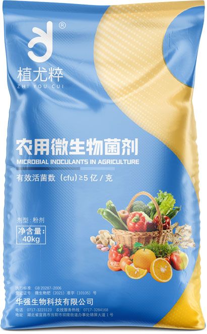 香港天和宝典资料大全