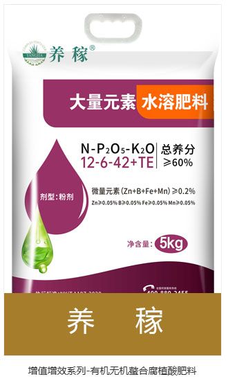 香港天和宝典资料大全