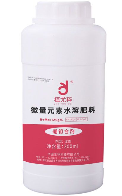 香港天和宝典资料大全